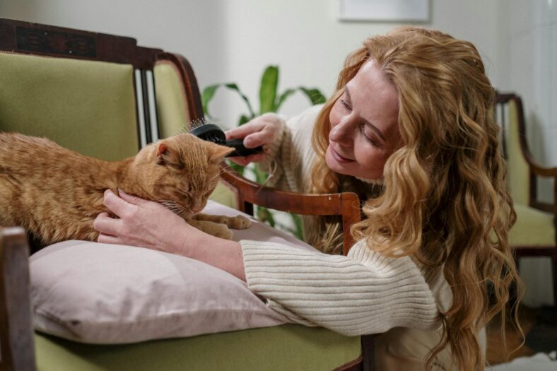 woman brushing her pet cat